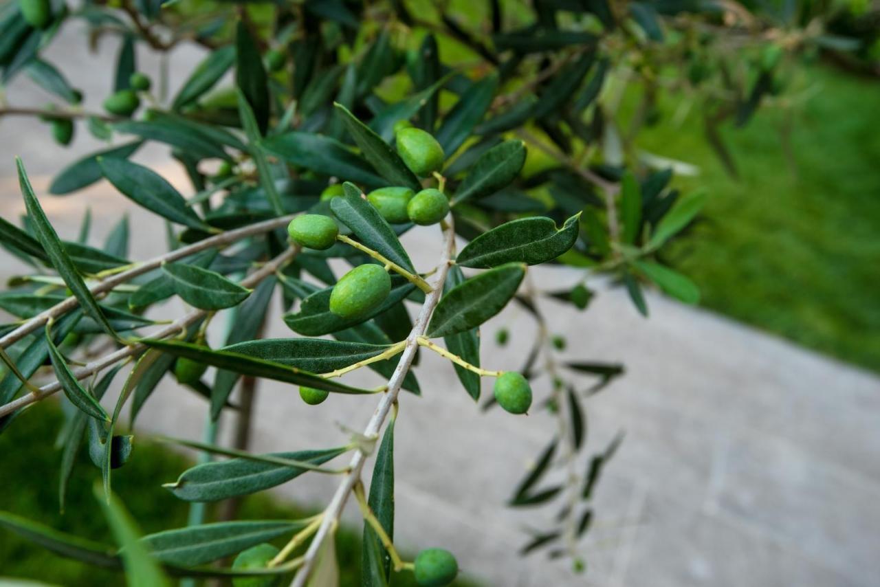 Appartamento Olive 303 Peraía Esterno foto